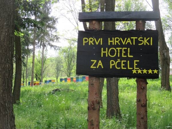 Prvi hotel za pčele na OPG Balja!