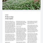 Nova online brošura HTZ-a pod nazivom „Puna inspiracije – skrivena blaga hrvatske unutrašnjosti“.